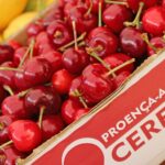 Permalink to: D’Gustar Cereja começa este fim de semana nos restaurantes aderentes em Proença-a-Nova